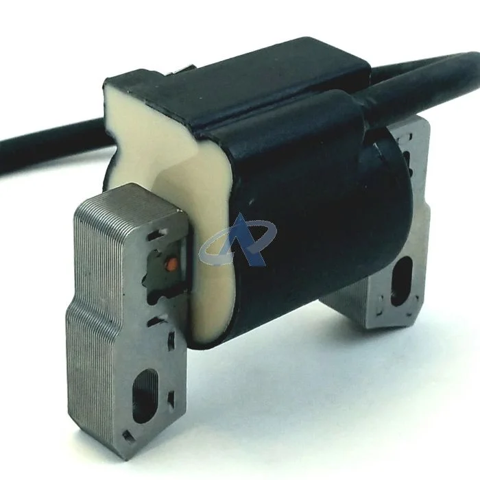Módulo de Ignición para BRIGGS & STRATTON 590455, 793353, 799382, 793354