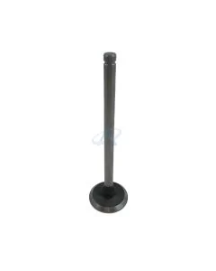 Válvula Escape para DEUTZ (KHD) F1L/F2L/F3L/F4L/F5L/F6L 812, 912, BF6L 912, 913